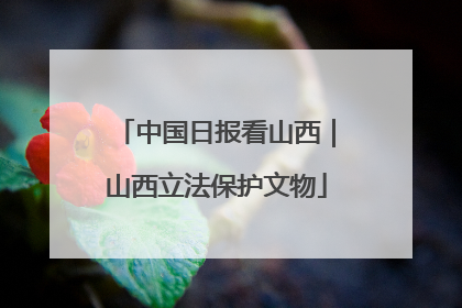 中国日报看山西｜山西立法保护文物