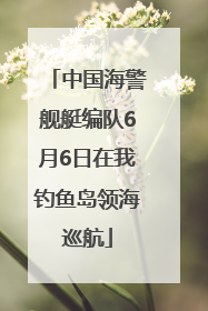 中国海警舰艇编队6月6日在我钓鱼岛领海巡航