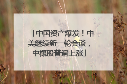 中国资产爆发！中美继续新一轮会谈，中概股普遍上涨