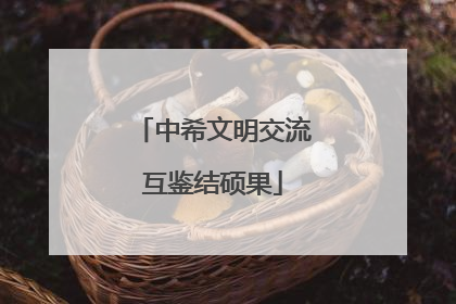 中希文明交流互鉴结硕果