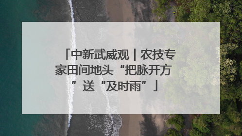 中新武威观｜农技专家田间地头“把脉开方”送“及时雨”