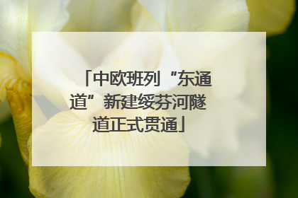 中欧班列“东通道”新建绥芬河隧道正式贯通