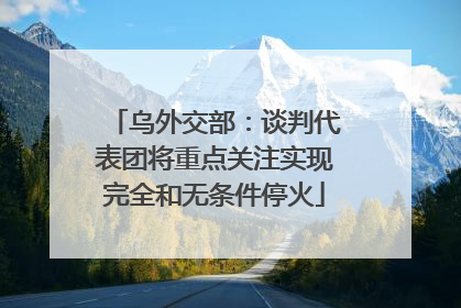 乌外交部：谈判代表团将重点关注实现完全和无条件停火