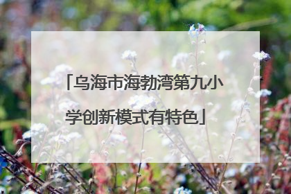 乌海市海勃湾第九小学创新模式有特色