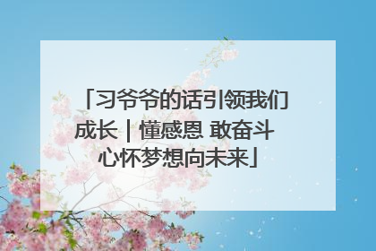 习爷爷的话引领我们成长｜懂感恩 敢奋斗 心怀梦想向未来