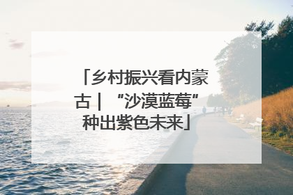 乡村振兴看内蒙古｜“沙漠蓝莓”种出紫色未来