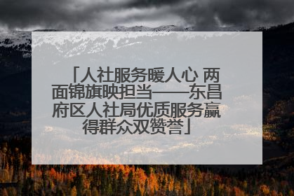 人社服务暖人心 两面锦旗映担当——东昌府区人社局优质服务赢得群众双赞誉