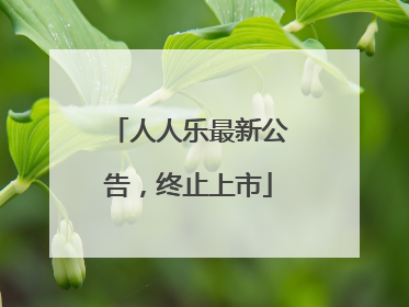 人人乐最新公告，终止上市