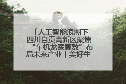 人工智能浪潮下 四川自贡高新区聚焦“车机龙医算数”布局未来产业丨美好生活有“盐”味