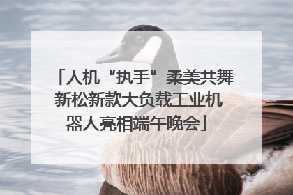 人机“执手”柔美共舞 新松新款大负载工业机器人亮相端午晚会