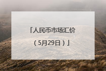 人民币市场汇价（5月29日）