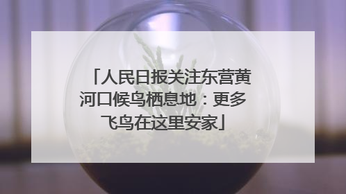 人民日报关注东营黄河口候鸟栖息地：更多飞鸟在这里安家