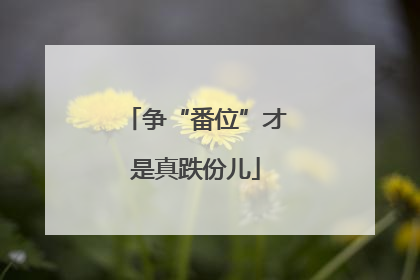 争“番位”才是真跌份儿