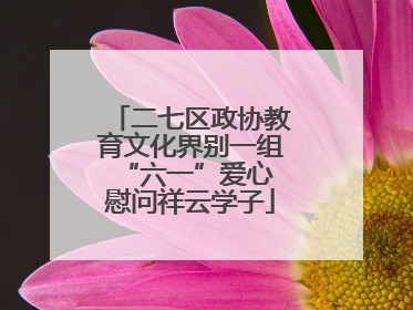 二七区政协教育文化界别一组 “六一”爱心慰问祥云学子