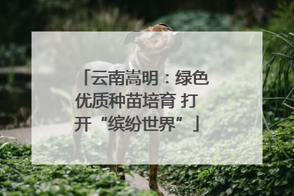 云南嵩明：绿色优质种苗培育 打开“缤纷世界”