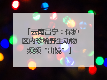 云南昌宁：保护区内珍稀野生动物频频“出镜”