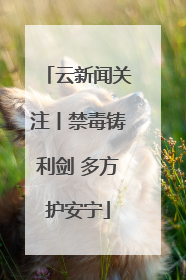云新闻关注丨禁毒铸利剑 多方护安宁