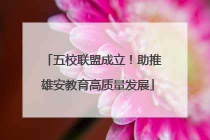 五校联盟成立！助推雄安教育高质量发展