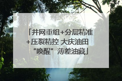 井网重组+分层精准+压裂精控 大庆油田“唤醒”薄差油藏