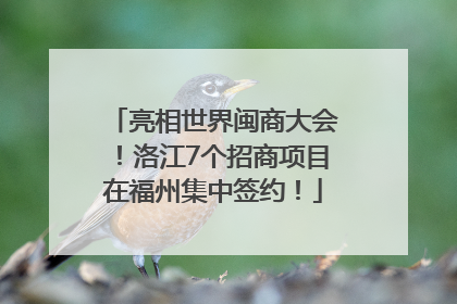 亮相世界闽商大会！洛江7个招商项目在福州集中签约！