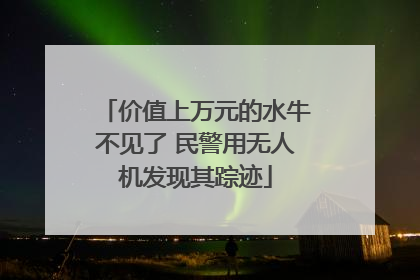价值上万元的水牛不见了 民警用无人机发现其踪迹