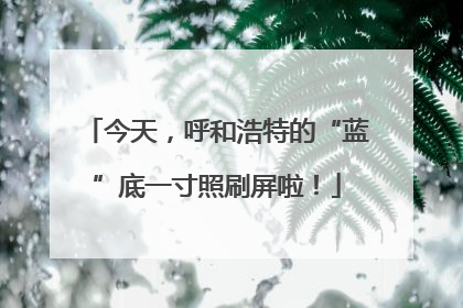 今天，呼和浩特的“蓝”底一寸照刷屏啦！