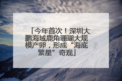今年首次！深圳大鹏海域鹿角珊瑚大规模产卵，形成“海底繁星”奇观