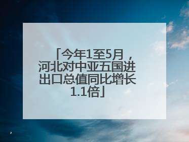 今年1至5月，河北对中亚五国进出口总值同比增长1.1倍