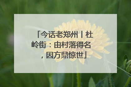 今话老郑州丨杜岭街：由村落得名，因方鼎惊世