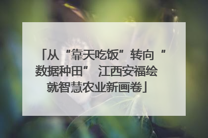 从“靠天吃饭”转向“数据种田” 江西安福绘就智慧农业新画卷