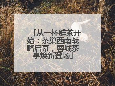 从一杯鲜茶开始：茶巢西南战略启幕，蓉城茶事焕新登场