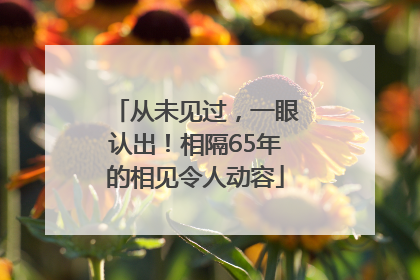 从未见过，一眼认出！相隔65年的相见令人动容
