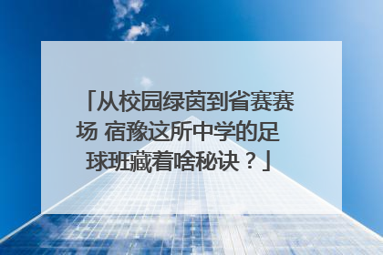 从校园绿茵到省赛赛场 宿豫这所中学的足球班藏着啥秘诀？