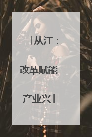 从江：改革赋能产业兴