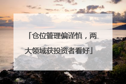 仓位管理偏谨慎，两大领域获投资者看好