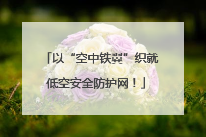 以“空中铁翼”织就低空安全防护网！
