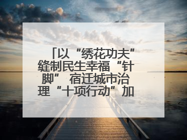 以“绣花功夫”缝制民生幸福“针脚” 宿迁城市治理“十项行动”加速落地