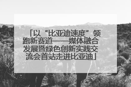以“比亚迪速度”领跑新赛道——媒体融合发展暨绿色创新实践交流会首站走进比亚迪