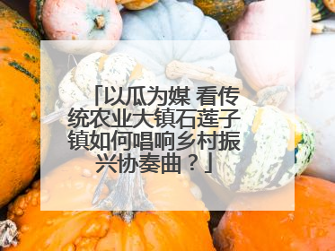 以瓜为媒 看传统农业大镇石莲子镇如何唱响乡村振兴协奏曲？