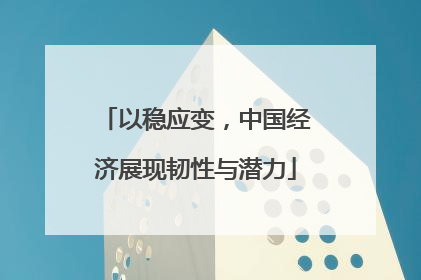以稳应变，中国经济展现韧性与潜力