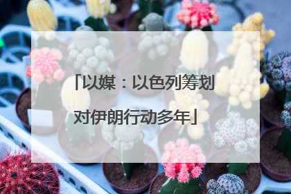 以媒：以色列筹划对伊朗行动多年
