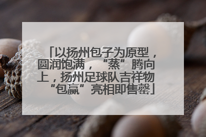 以扬州包子为原型，圆润饱满，“蒸”腾向上，扬州足球队吉祥物“包赢”亮相即售罄