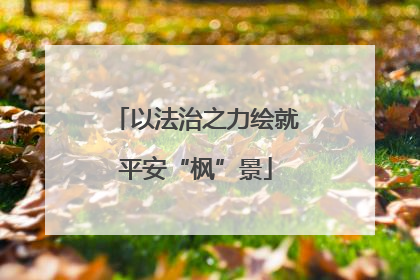 以法治之力绘就平安“枫”景