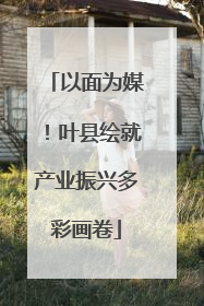 以面为媒！叶县绘就产业振兴多彩画卷