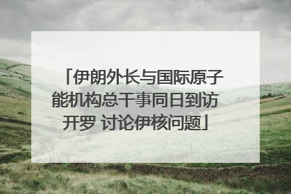 伊朗外长与国际原子能机构总干事同日到访开罗 讨论伊核问题