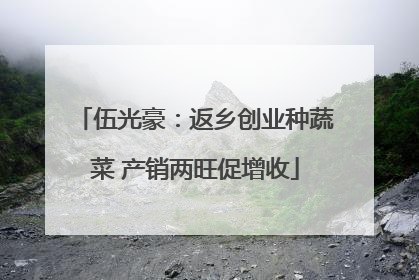 伍光豪：返乡创业种蔬菜 产销两旺促增收