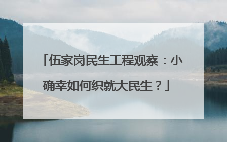 伍家岗民生工程观察：小确幸如何织就大民生？