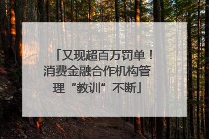 又现超百万罚单！消费金融合作机构管理“教训”不断