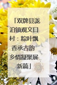 双牌县泷泊镇观文口村：粽叶飘香承古韵 乡情凝聚展新篇