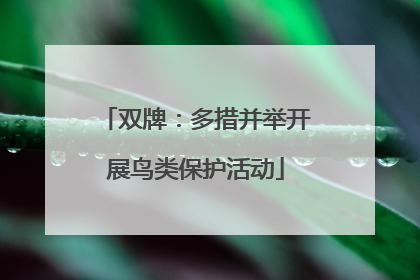 双牌：多措并举开展鸟类保护活动
